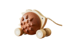 Snail Pull Toy